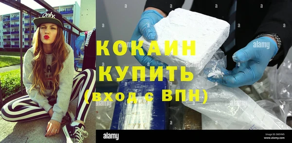 ГАЛЛЮЦИНОГЕННЫЕ ГРИБЫ Ельня