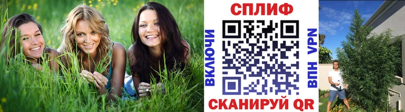 Канабис индика Ирбит